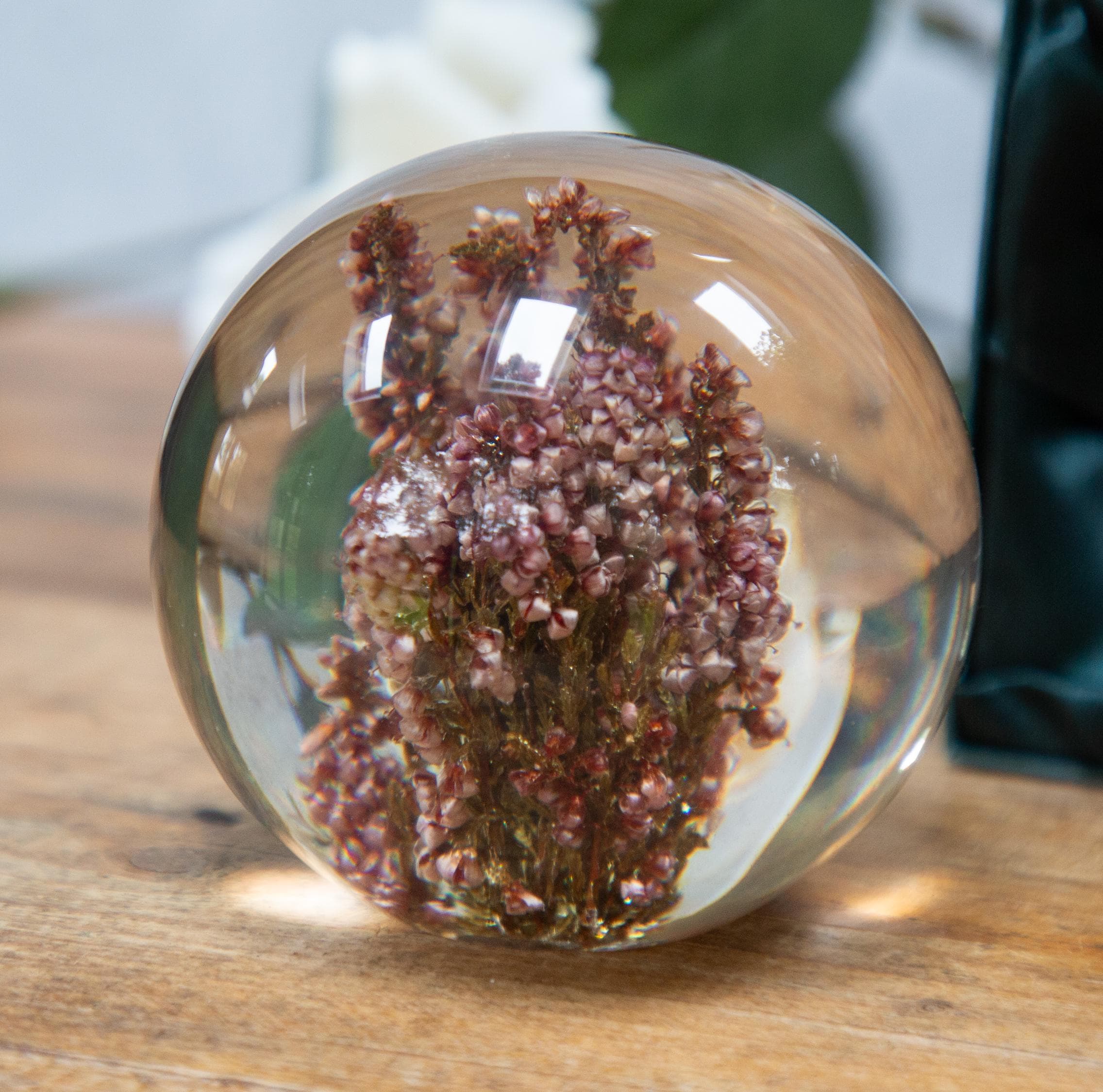アンティーク雑貨 90s VINTAGE HAFOD GRANGE PAPERWEIGHTS L Hafod Grange Resin Paperweight. in Original Box. Round. Pink