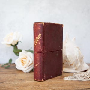 Vecchia scatola per fotografie anni 1900. Album. Portafoto marrone. Contenitore antico. Immagine seppia vittoriana e primi anni 1900. Decorazione antica d'epoca
