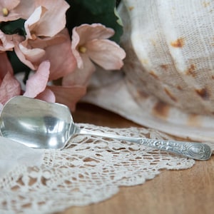 Caddy Spoon for Loose Leaf Tea. Mint. Shovel Shape. Plated Nickel Silver. Small. Vintage Kitchen C1930s 1940s
