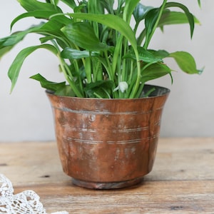 May include: A weathered copper planter with a tapered cylindrical shape and horizontal etched lines around the upper body. The metal surface displays a natural patina with varied brown and orange tones, containing a vibrant green leafy plant.