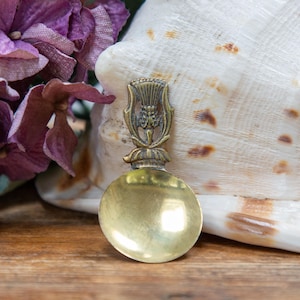 Brass Caddy Spoon. Small. Loose Leaf Tea. Thistle Handle. Scottish. Vintage Kitchen Gift C1920s-1950s