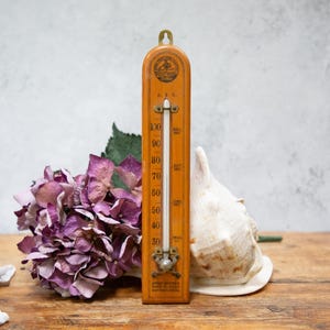 Wall Hanging Working Thermometer. Farenheit. JSG. Wood Brass. Black Numerals. Centre Point. Wine Storage. Shed. Antique Kitchen Decor C1900
