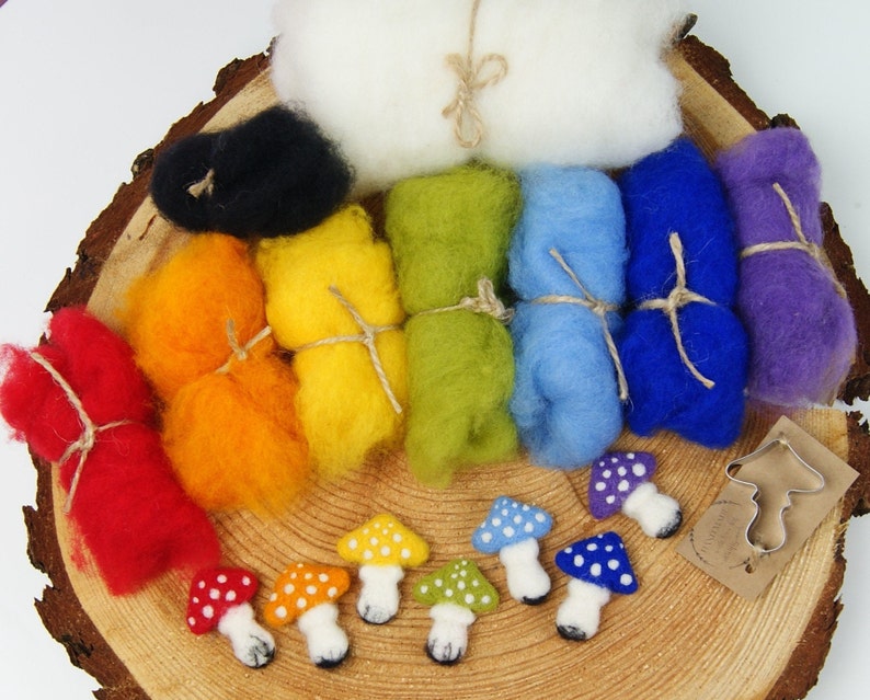 Needle Felting Kit Beginner DIY Felting Mushrooms DIY Autumn Etsy