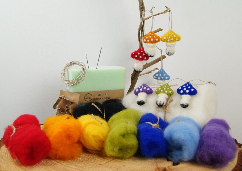 Needle Felting Kit Beginner DIY Felting Mushrooms DIY Autumn Etsy