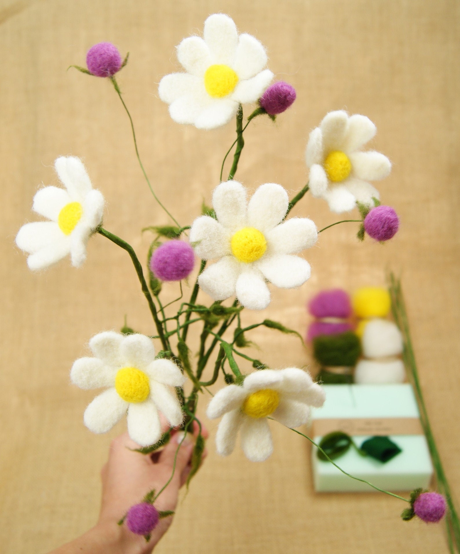 6 DIY Cosmos Flower Needle Felting Flowers Kit Needle Felt Etsy