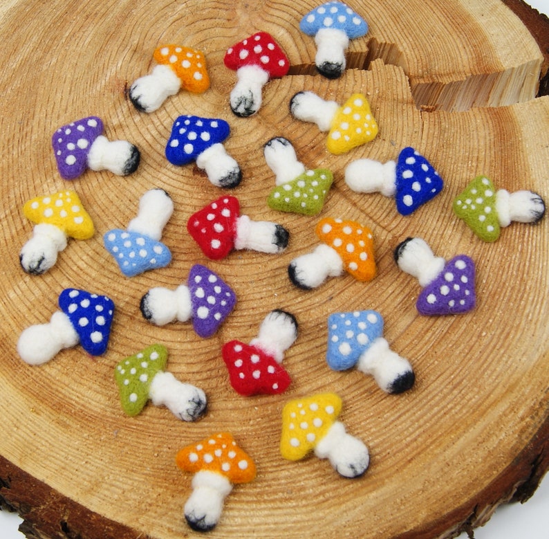 Needle Felting Kit Beginner DIY felting mushrooms DIY autumn Etsy