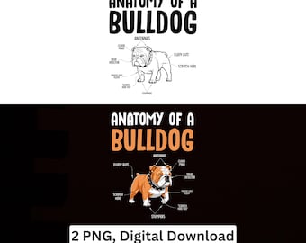 Anatomy Of A Bulldog PNG Funny Dog Sublimation Design Cricut Printable Digital Download