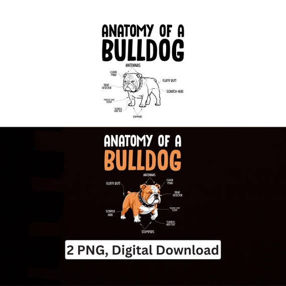 Anatomy Of A Bulldog PNG Funny Dog Sublimation Design Cricut Printable Digital Download