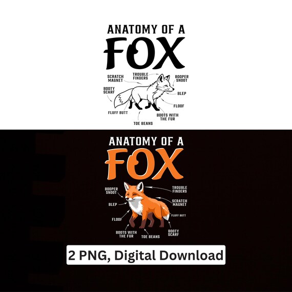 Fox Nature Lover PNG Anatomy Chart Wildlife Enthusiast Sublimation Cricut Printable Digital Download
