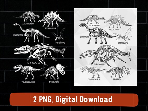 Dinosaur skeletons png, types of dino T-Rex skeleton design (digital download)