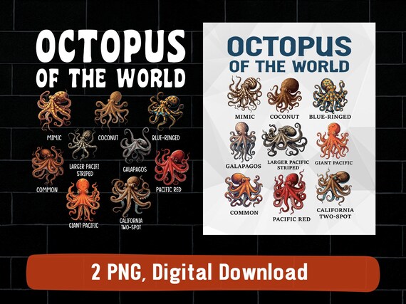 Octopus of the world png, type of octopus design (digital download)