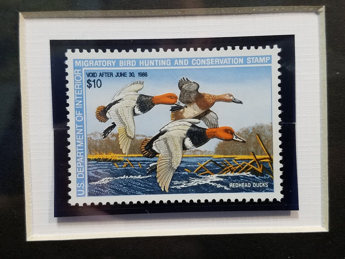 Vintage Federal Duck Stamp and Signed Limited Edition Print. Etsy