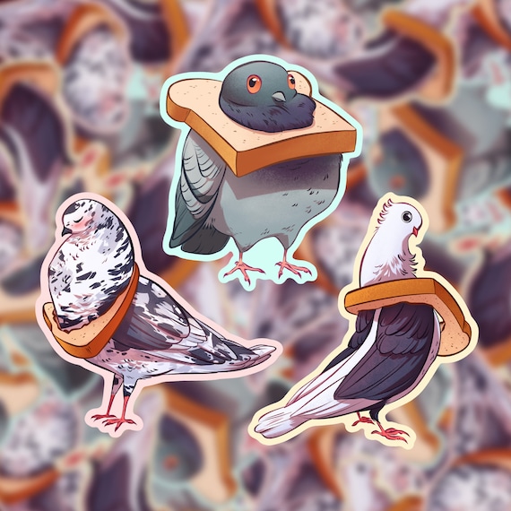 Pigeon Sticker, Funny Bird Sticker, Bird Lover Gift, Rock Pigeon Dove, Dove Stickers, Pigeon Gifts, Best Friend Gift, Bread Sticker, Birbs