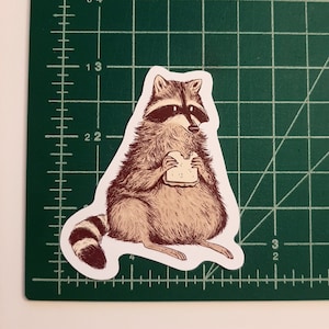 May include: A brown and white raccoon with a black mask is sitting on a white background. The raccoon is holding a sandwich in its paws and looking at it.