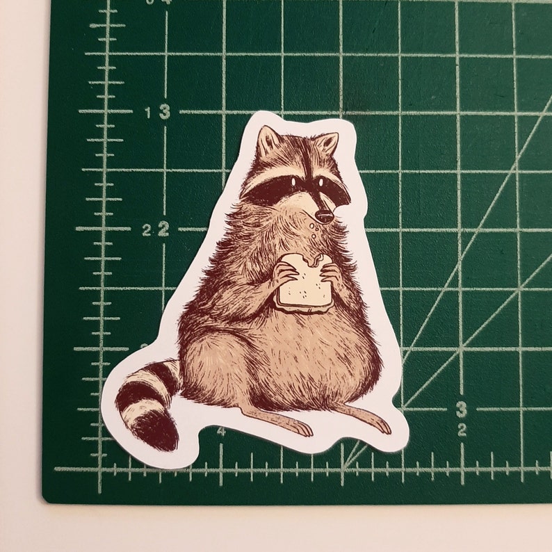 May include: A brown and white raccoon with a black mask is sitting on a white background. The raccoon is holding a sandwich in its paws and looking at it.