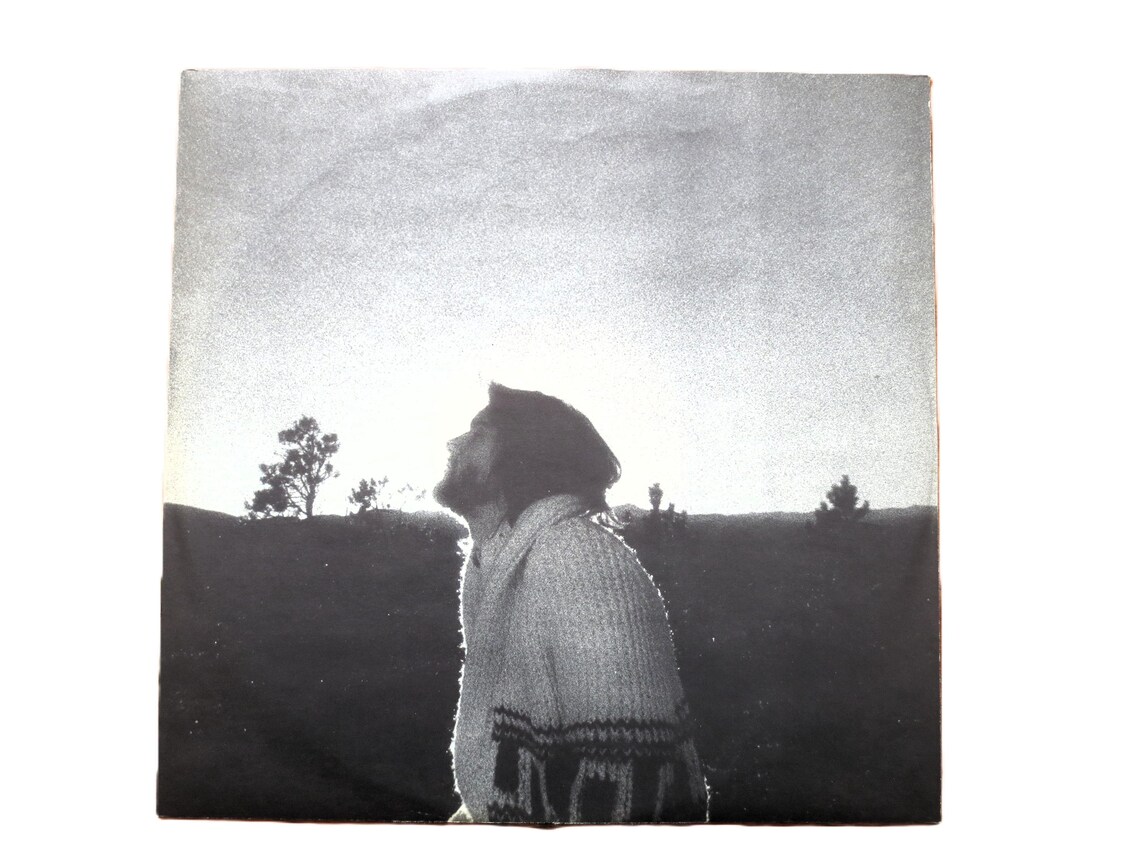DAN FOGELBERG - Nether Lands Lp 1977 Original Vintage Vinyl Record Album, foto 4 di 5