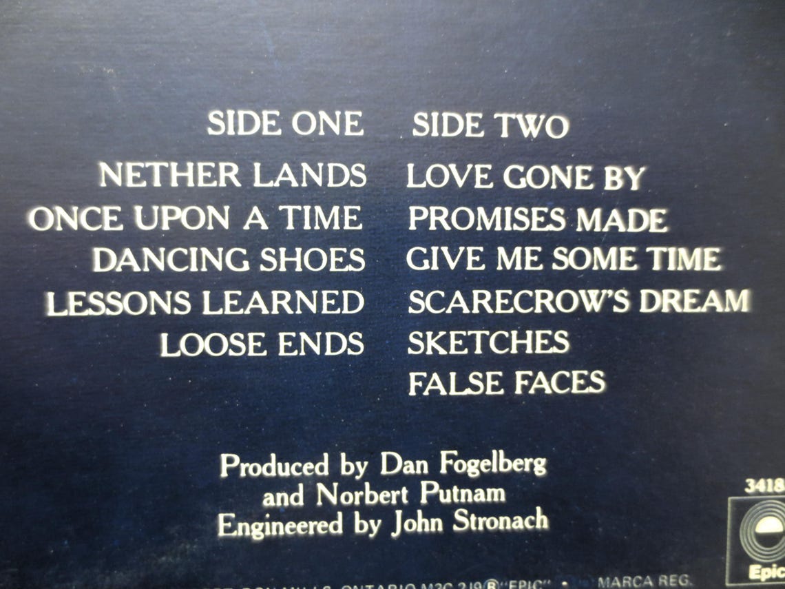 DAN FOGELBERG - Nether Lands Lp 1977 Original Vintage Vinyl Record Album, foto 3 di 5