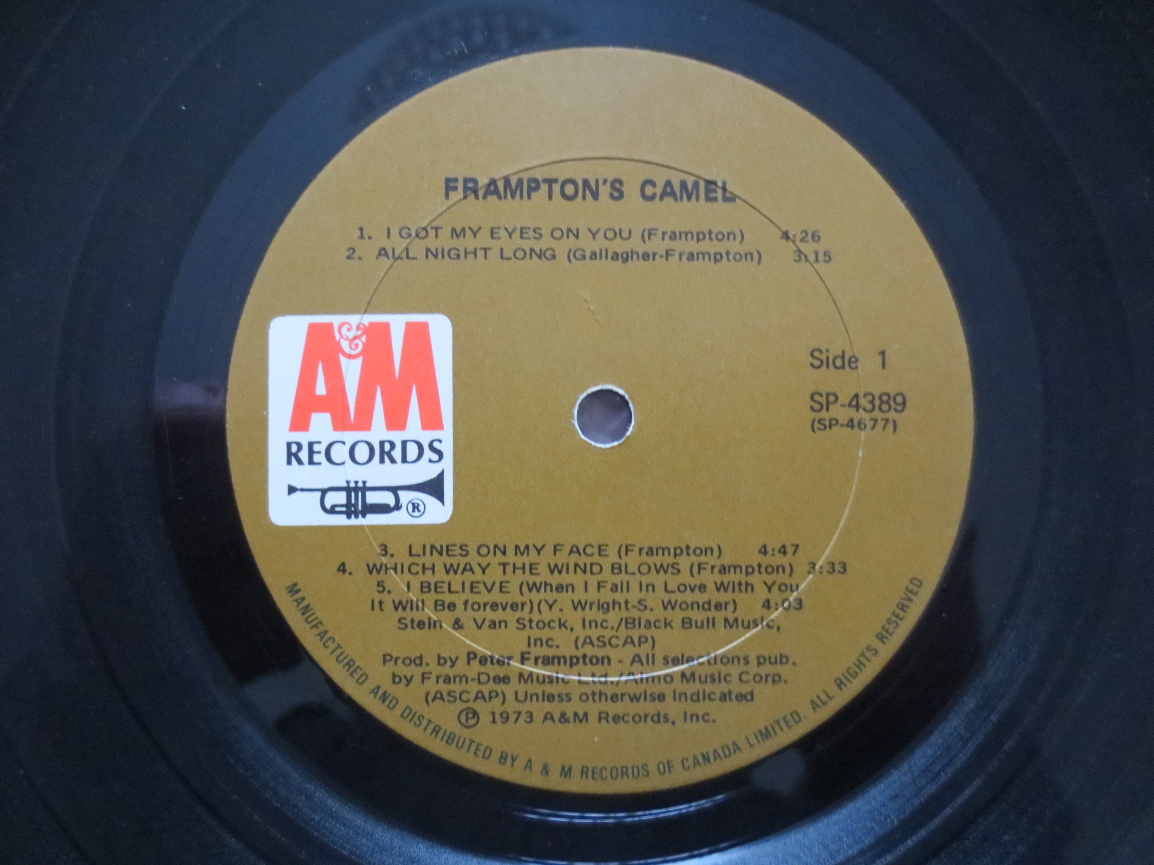 Vintage Record PETER FRAMPTON Frampton's CAMEL Peter Etsy