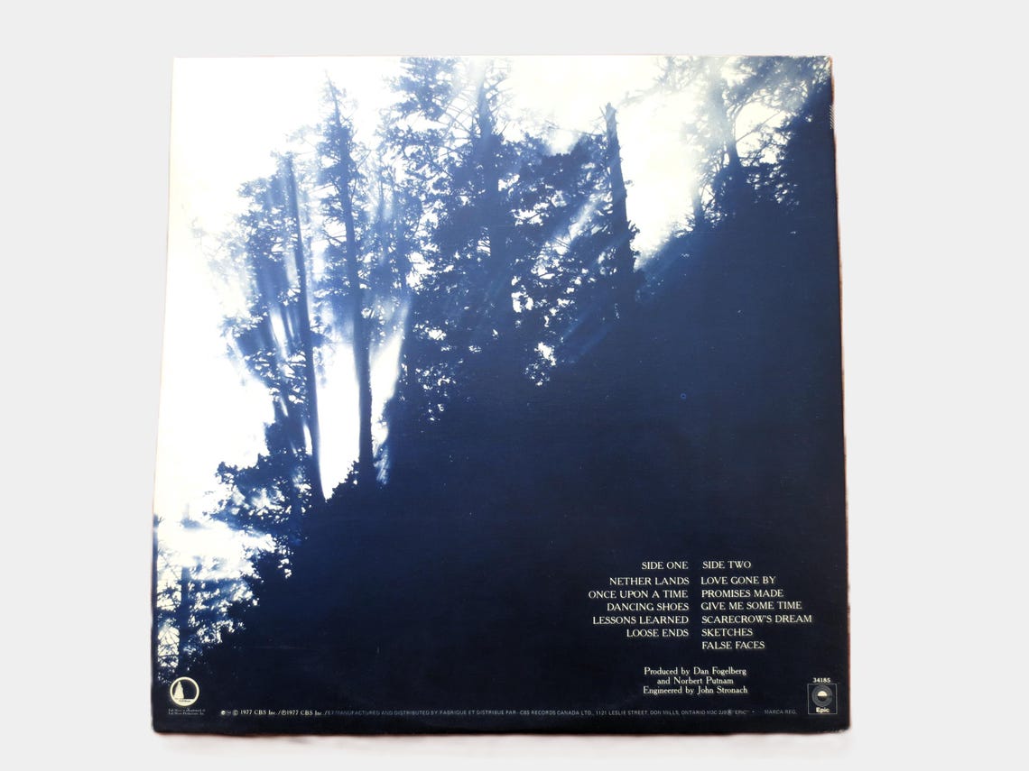 DAN FOGELBERG - Nether Lands Lp 1977 Original Vintage Vinyl Record Album, foto 2 di 5