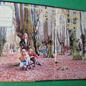 May include: A vintage vinyl record album cover featuring a group of people standing in a forest with tall trees. The album cover is in a gatefold style, with the front cover showing the group of people and the back cover showing a forest scene.