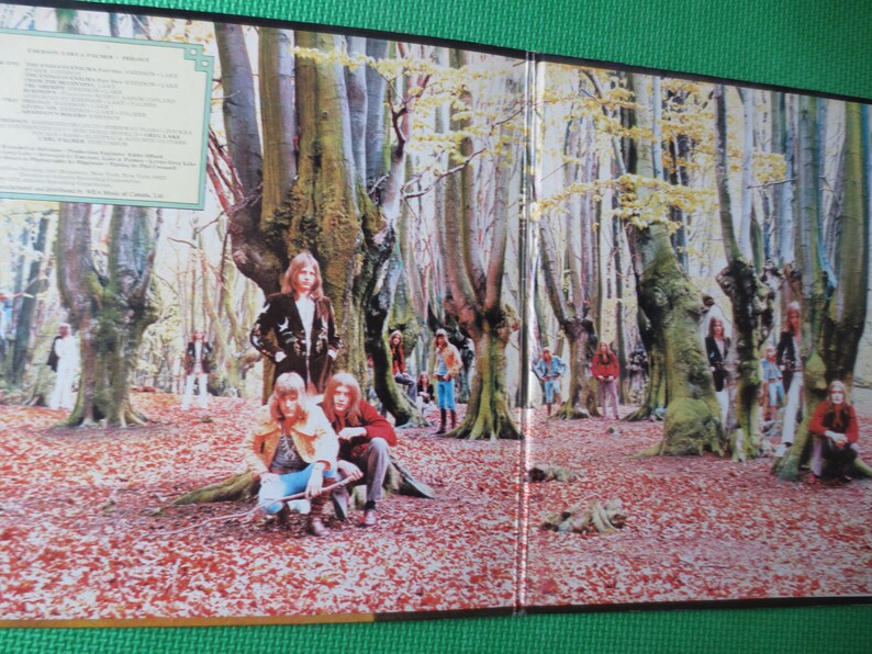 May include: A vintage vinyl record album cover featuring a group of people standing in a forest with tall trees. The album cover is in a gatefold style, with the front cover showing the group of people and the back cover showing a forest scene.