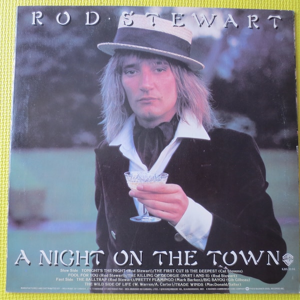 Vintage Records, ROD STEWART, A NIGHT On The Town, Rod Stewart Record, Rod Stewart Album, Rod Stewart Lp,  Pop Records, Vinyl, 1976 Records