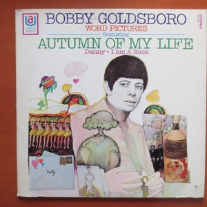 Vintage Records, BOBBY GOLDSBORO Lp, Word PICTURES Album, Pop Album, Vintage Vinyl, Pop Record, Pop Vinyl, Pop Lp, Vinyl Album, 1968 Records