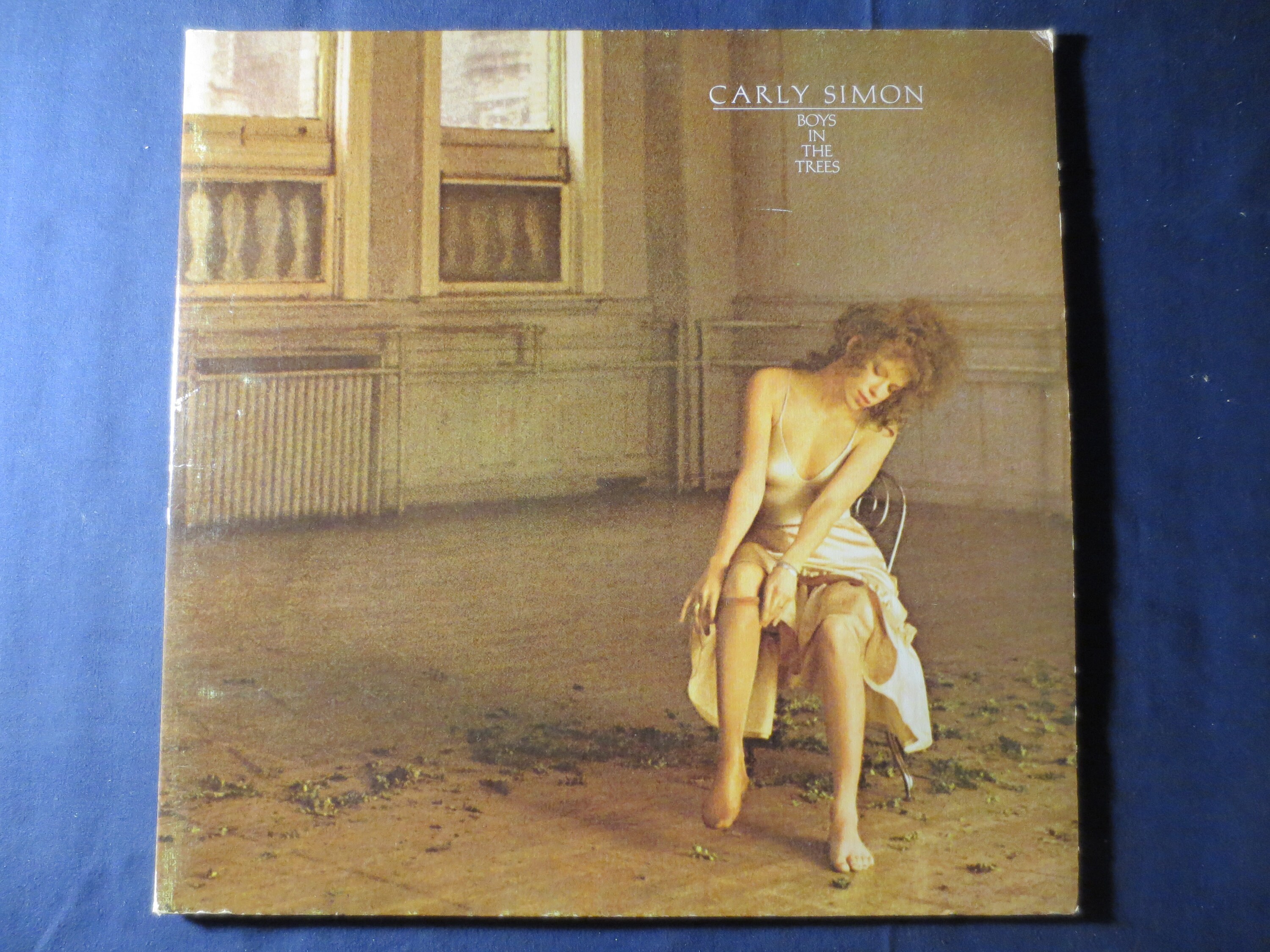 Carly Simon Nudes