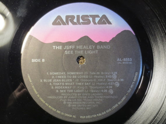 Vintage Records Jeff Healey See The Light Rock Records Etsy