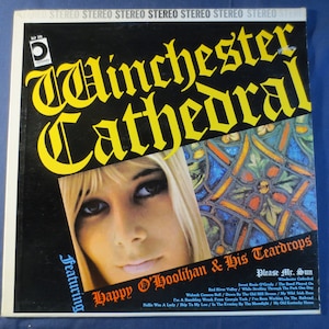 Vintage Records, WINCHESTER CATHEDRAL, Pop Record, Vintage Vinyl, Record Vinyl, Record, Vinyl Record, Vinyl Pop, Vinyl Album, 1967 Records