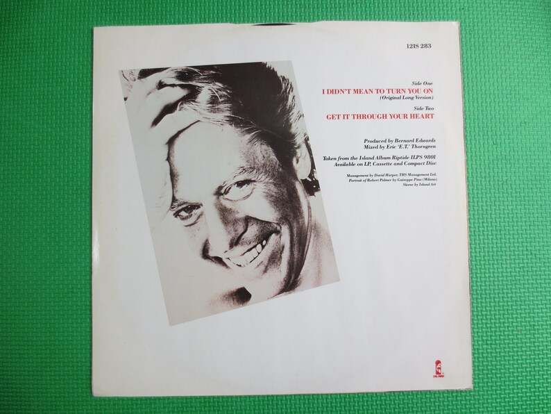 ROBERT PALMER, I Didn't Mean To Turn You On, Robert Palmer Record