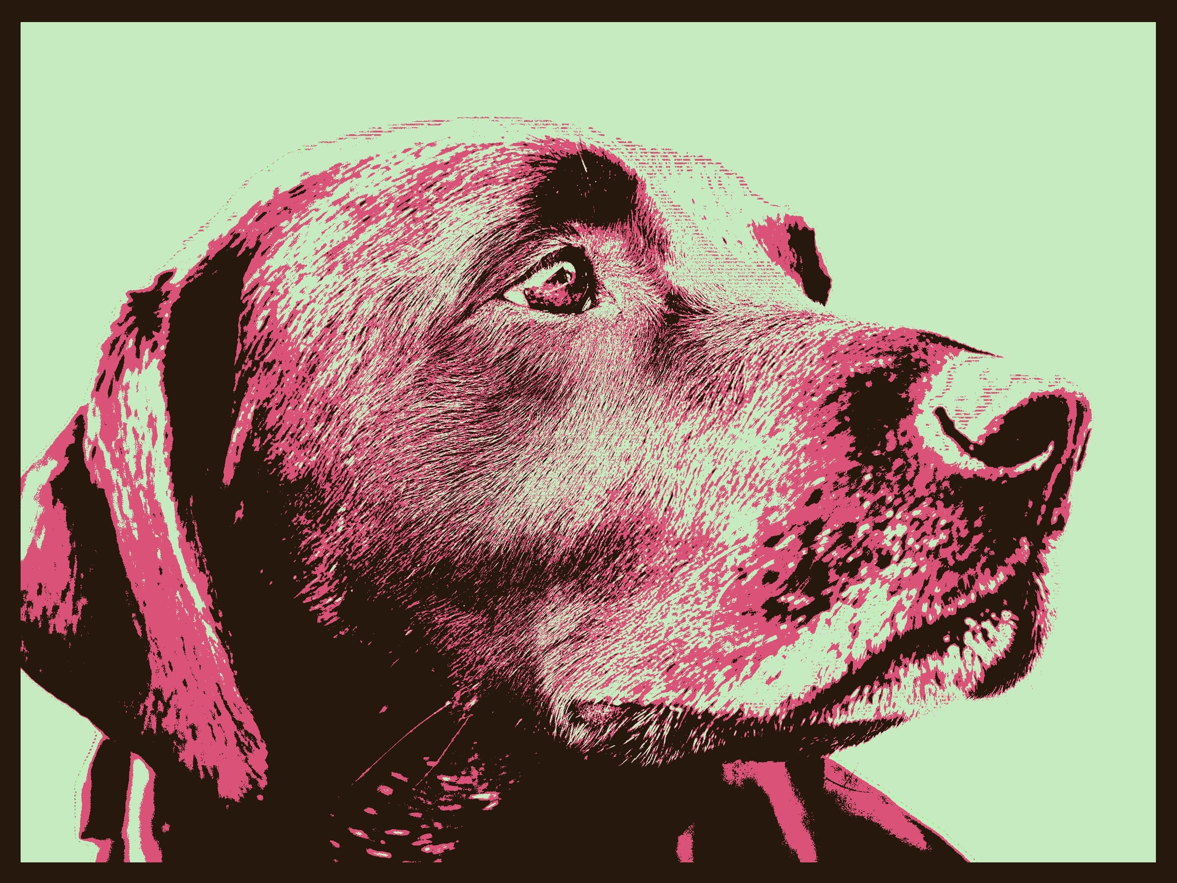 Dog Wall Art Modern Dog Art Canvas Wall Art Dog Art | Etsy