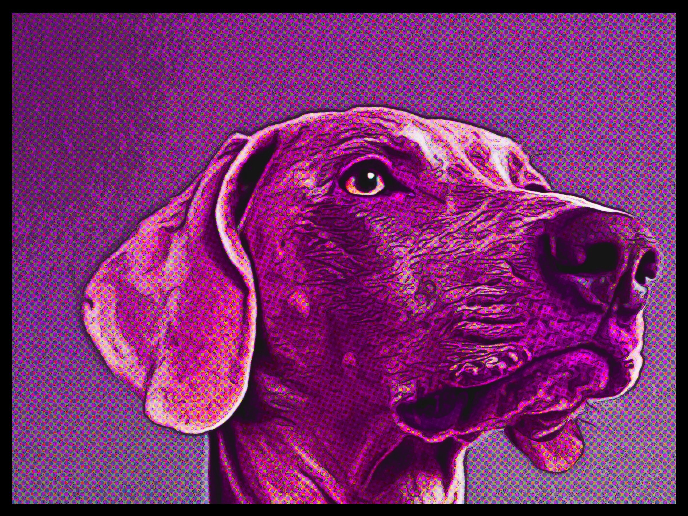 Dog Wall Art Modern Dog Art Canvas Wall Art Dog Art Etsy