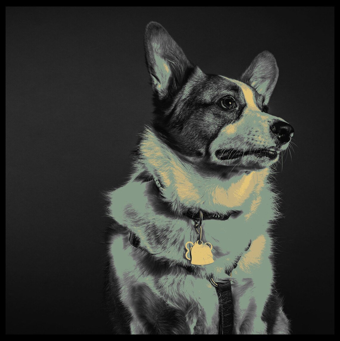 Dog Wall Art Modern Dog Art Canvas Wall Art Dog Art Pop Art Dog Lovers