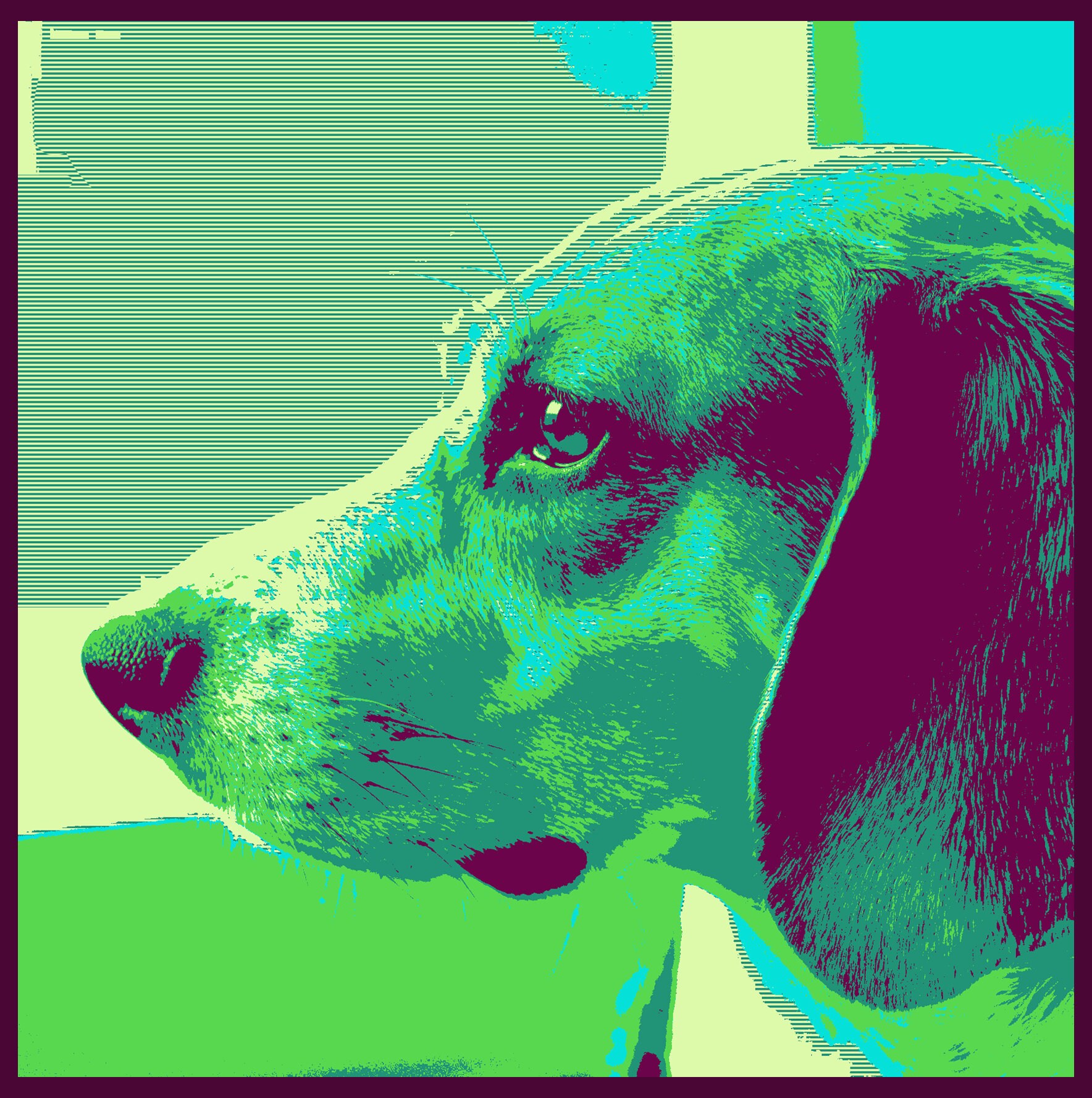 Dog Wall Art Modern Dog Art Canvas Wall Art Dog Art | Etsy