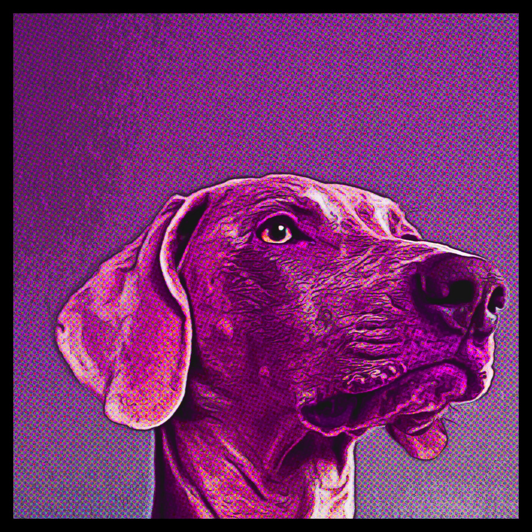 Dog Wall Art Modern Dog Art Canvas Wall Art Dog Art Etsy