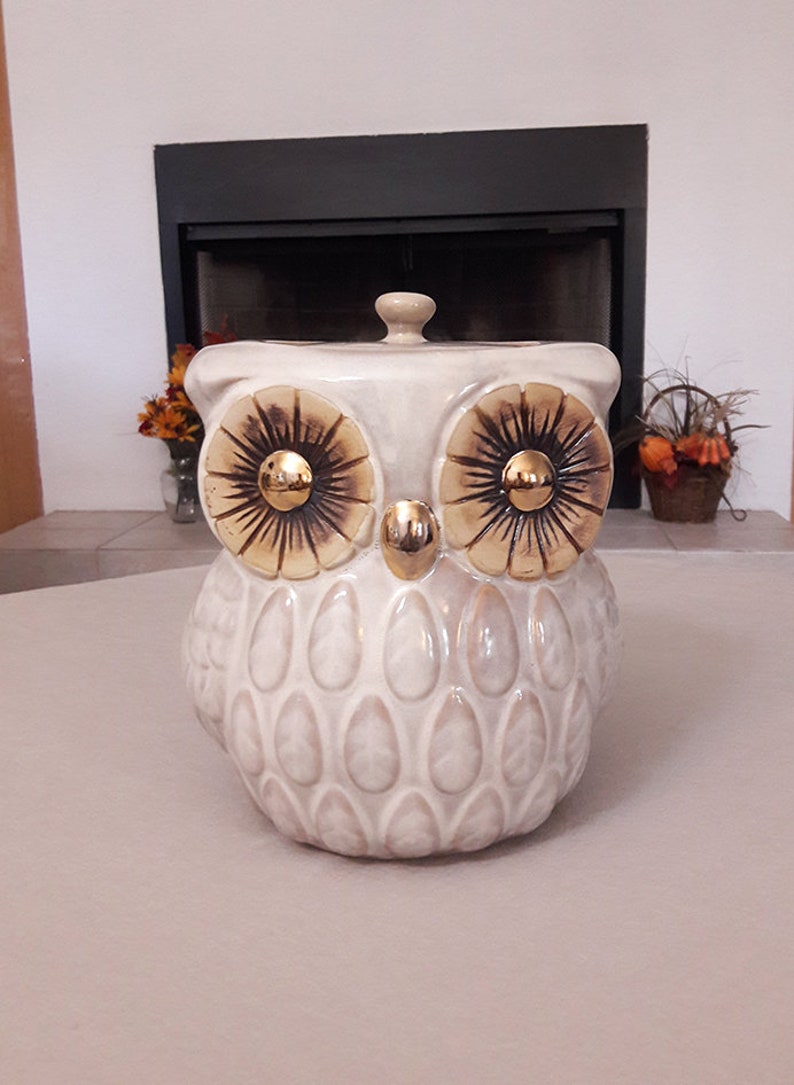 Owl Cookie Jar Owl Decor Kitchen Owl Candy Jar Owl Gifts Owl Etsy