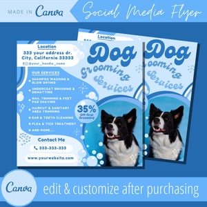 Modello di volantino per toelettatura per cani - Modelli di volantini modificabili per servizi di toelettatura per animali domestici - Eflyer per toelettatori per cani - Servizi per saloni per animali domestici - Volantino per taglio di capelli per animali domestici