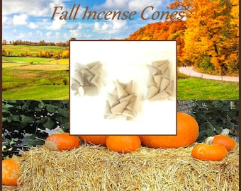 Farmhouse Hayride Fall Autumn Incense Cones 10pc Large Cones