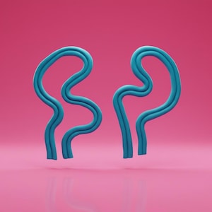Può includere: Una coppia di forme astratte ondulate, di colore blu brillante e a doppia linea, che ricordano punti interrogativi stilizzati o forme organiche fluide. I due oggetti curvi distinti sono posizionati fianco a fianco su uno sfondo rosa acceso.