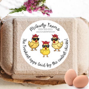 May include: A cardboard egg carton with a round sticker featuring three cartoon chickens wearing sunglasses and bandanas. The sticker reads "McCurty Farms" and "The freshest eggs laid by the coolest chicks!" Two brown eggs are visible.