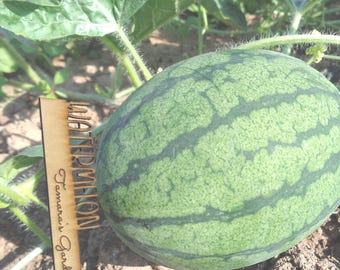 Personalized Wooden Plant Stakes, Laser Cut Garden Markers