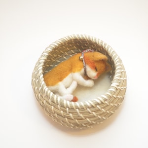 Gato de fieltro, gatito en cesta