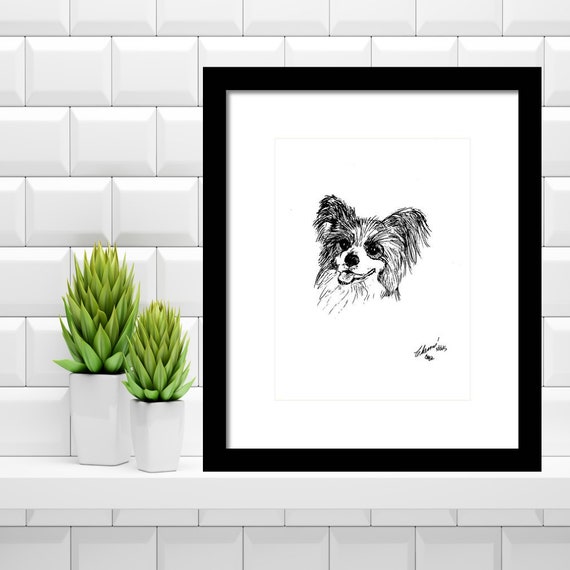 Print Of Pen And Ink Drawing Papillon Butterfly Ears Dog Etsy