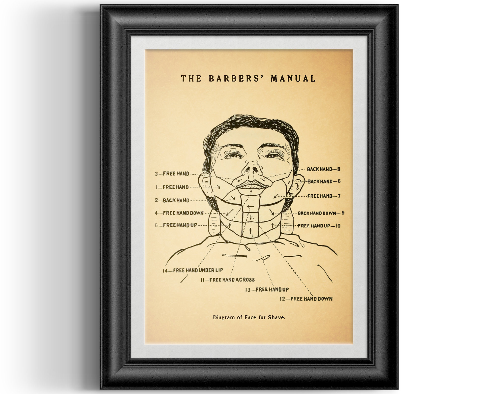 Straight razor face shave diagram from 1866 The Barbers Manual by A.B.  Moler , perfect barbers gift to complement your barber shop