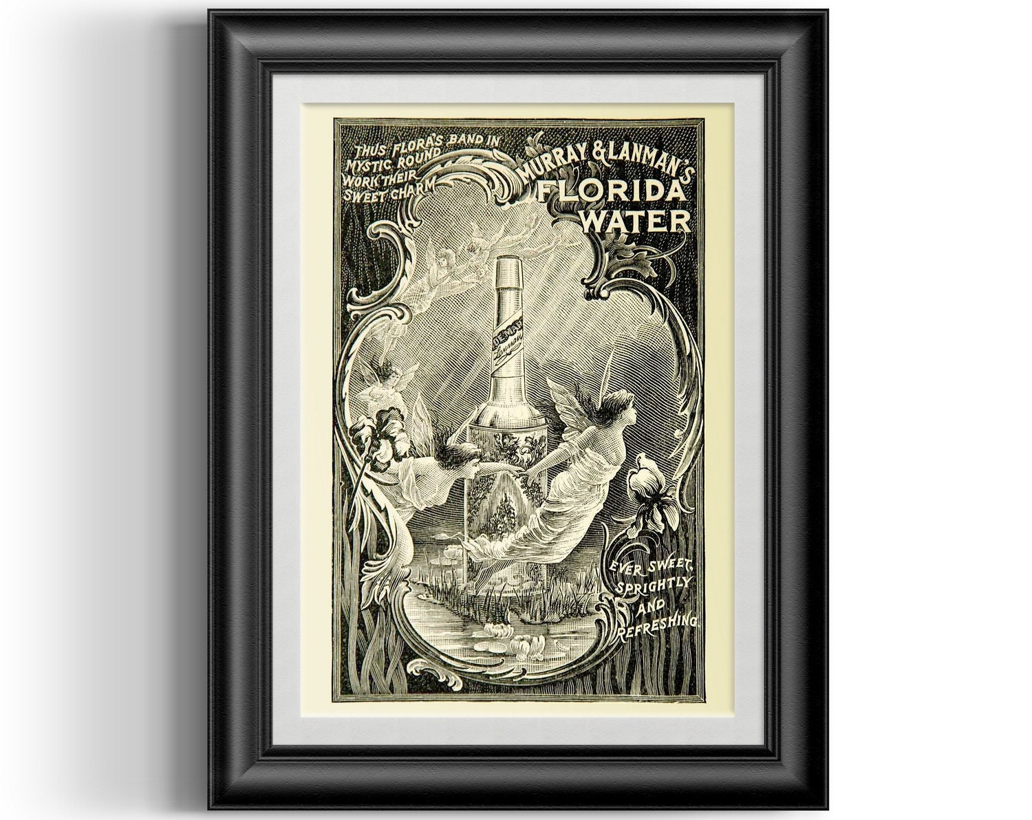 'Murray & Lanman's Florida Water c1904' A Beautiful A4 Glossy Art Print Taken From a Vintage Product ad 