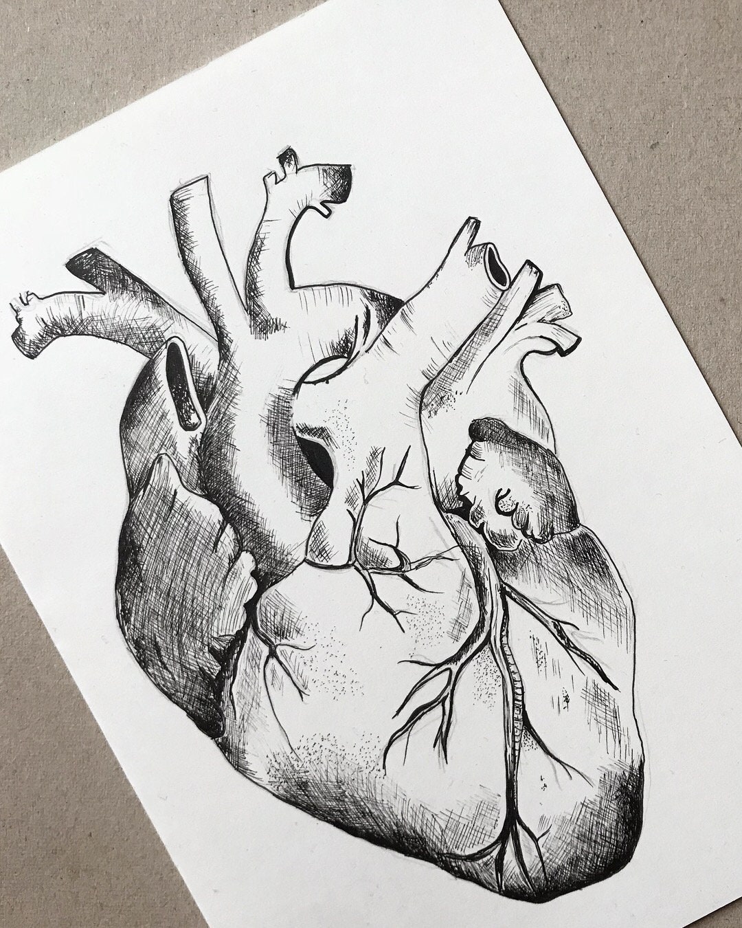 Anotomical Heart Pen Drawing - Etsy