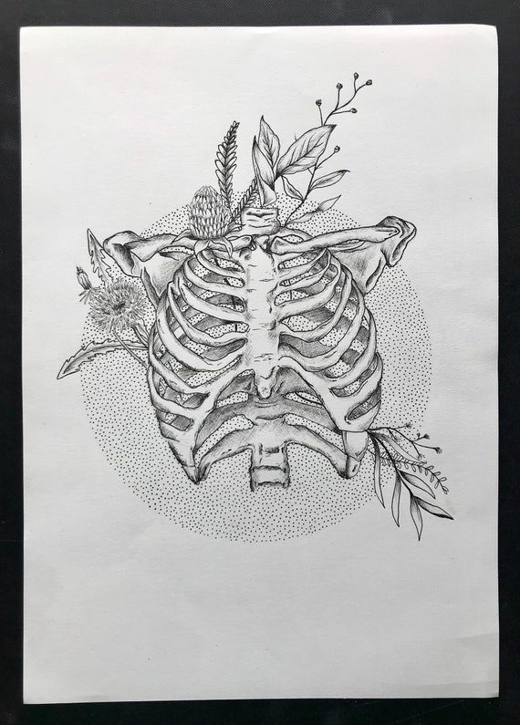 Skeleton Rib Cage With Wildflowers Pen Drawing Etsy