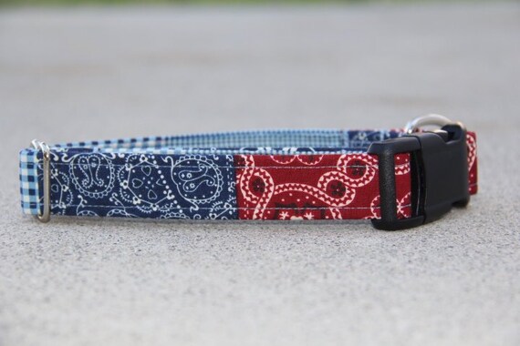 how to tell what dog breed you have