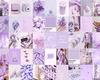Download A vibrant and colorful collage featuring the beauty of purple  Wallpaper  Wallpaperscom